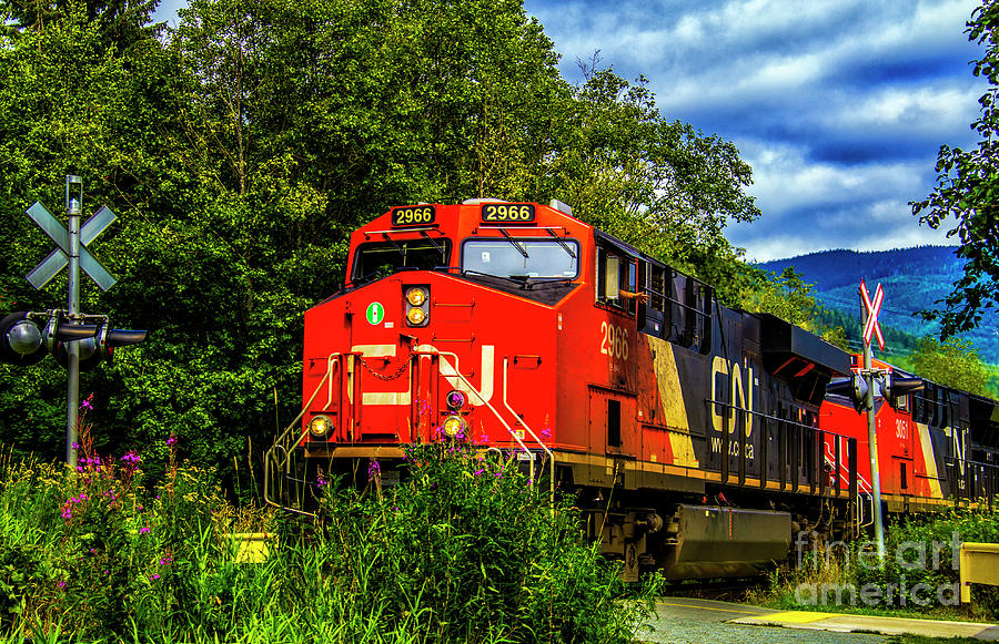 Canadian National Express Photograph by Roberta Bragan - Fine Art America