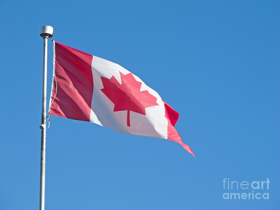 Flag Photograph - Canadian National Flag by Ann Horn
