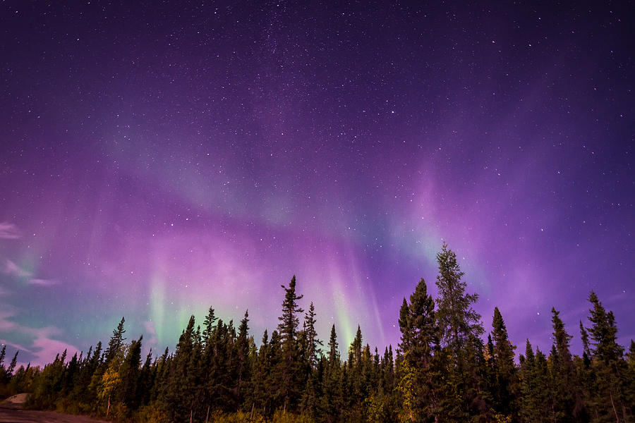 Canadian Northern Lights Photograph by Serge Skiba