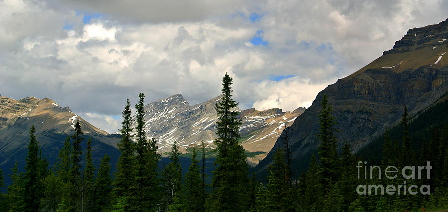 Canadian Rockies, Alta. Photograph by Elfriede Fulda