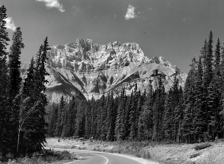 Canadian Rockies B W Photograph by David T Wilkinson