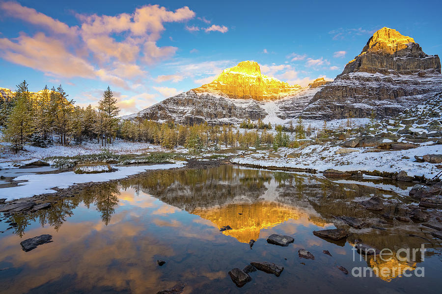 Canadian Rockies Fall Splendor Reflection Photograph by Mike Reid