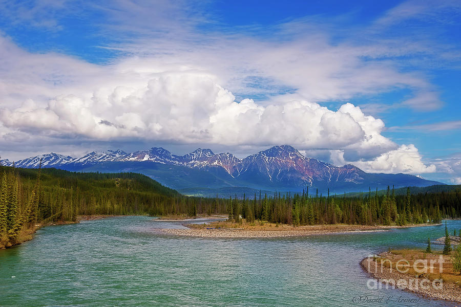 Canadian Rockies from Alaskan Highway Photograph by David Arment