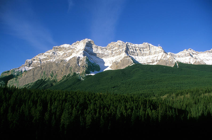 Canadian Rockies In Bc Photograph