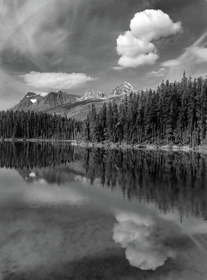 Canadian Rockies Lake Reflection Photograph by David T Wilkinson
