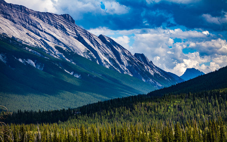 Canadian Rockies Mt Rundle Photograph by Tommy Farnsworth