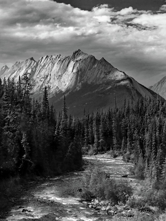 Canadian Rockies Riverscape B W Photograph by David T Wilkinson
