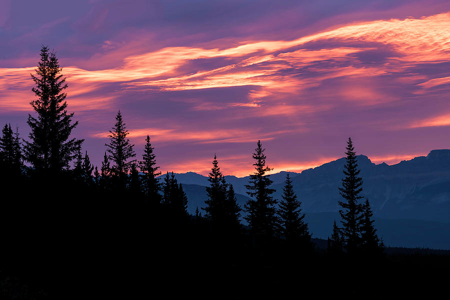 Canadian Rockies Sunrise Photograph by Ken Weber - Fine Art America