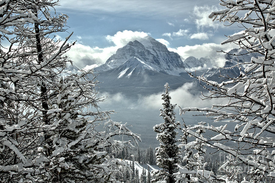 Canadian Rockies Through The Snow Covered Trees Photograph by Adam Jewell