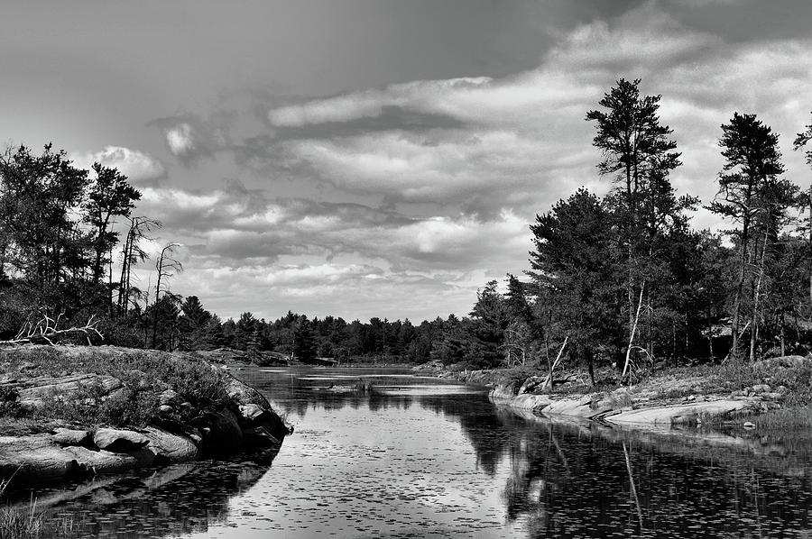 Canadian Shield Forest BW  Photograph by Lyle Crump