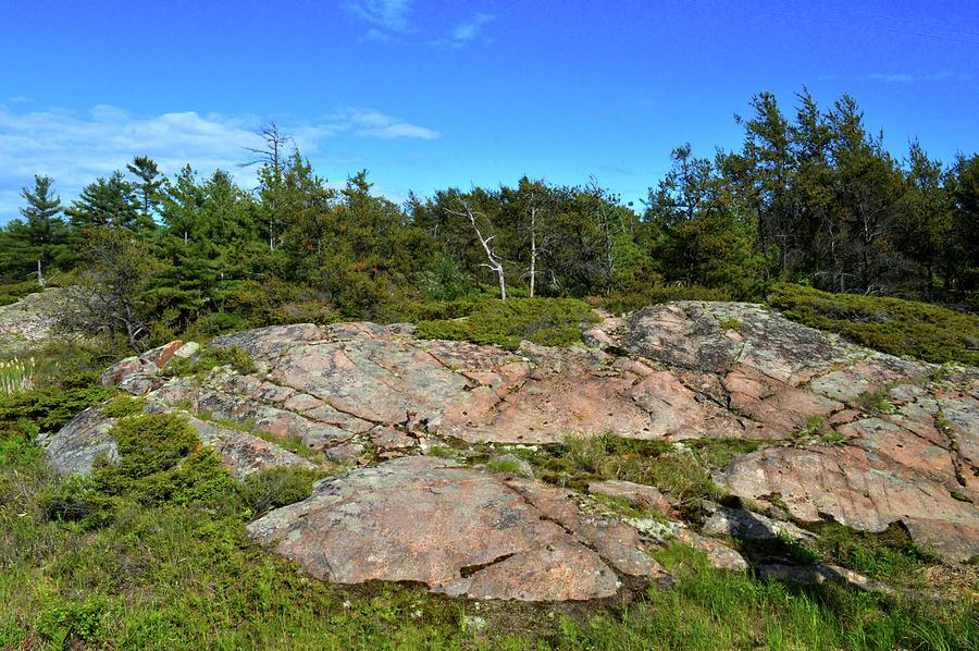Canadian Shield  Photograph by Lyle Crump