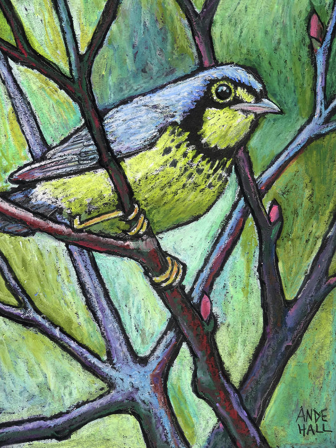 Canadian Warbler Painting by Ande Hall