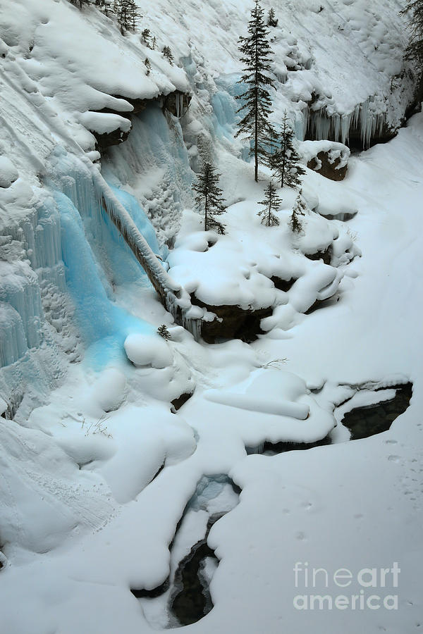 Canadian Winter Blues Photograph by Adam Jewell