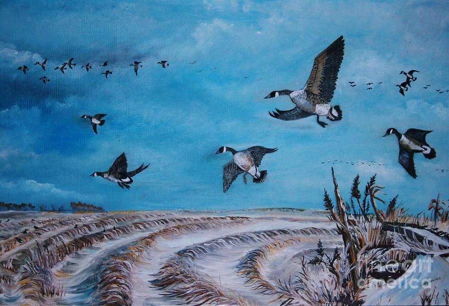 Bird Painting - Canadians In Nebraska by Judy Groves