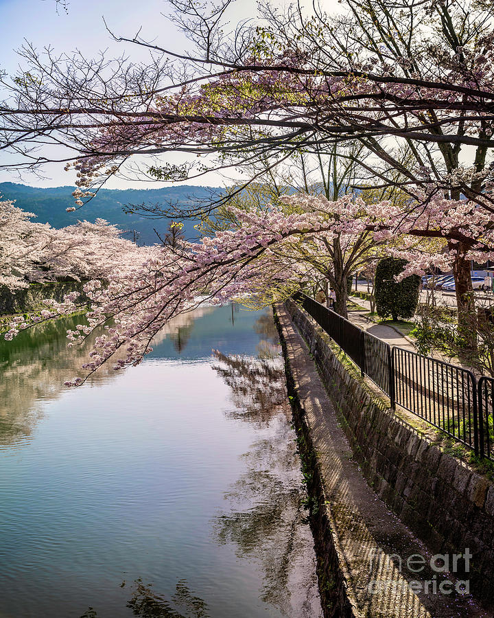 Canal in Okazaki near Heian Jinju Shrine Photograph by Karen Jorstad