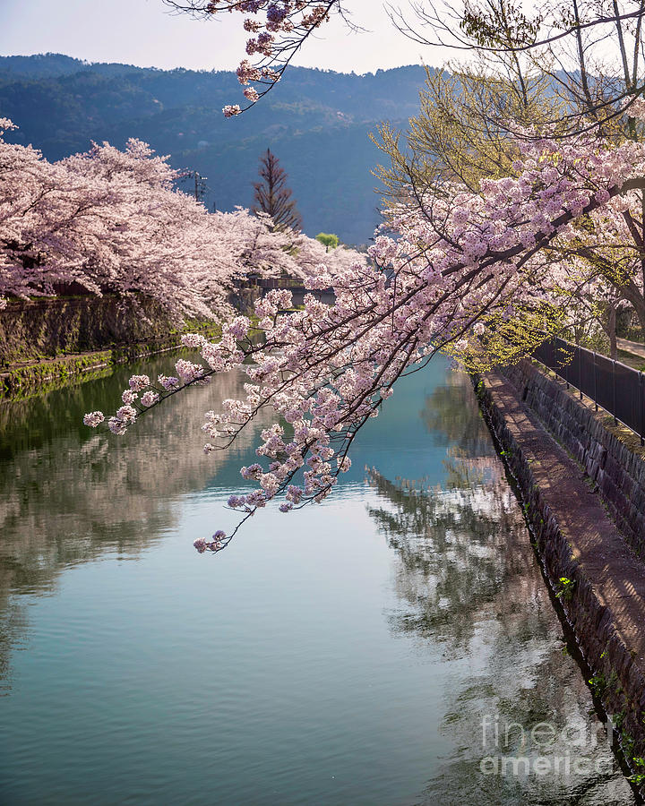 Canal in Okazaki near Heian Jinju Shrine Kyoto II Photograph by Karen Jorstad