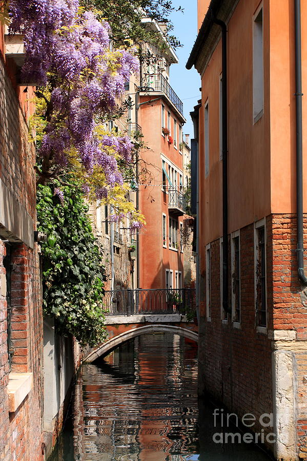 Flower Photograph - Canal in Venice with Flowers by Michael Henderson