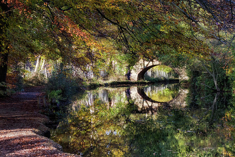 Canal path in autumn Photograph by Shirley Mitchell