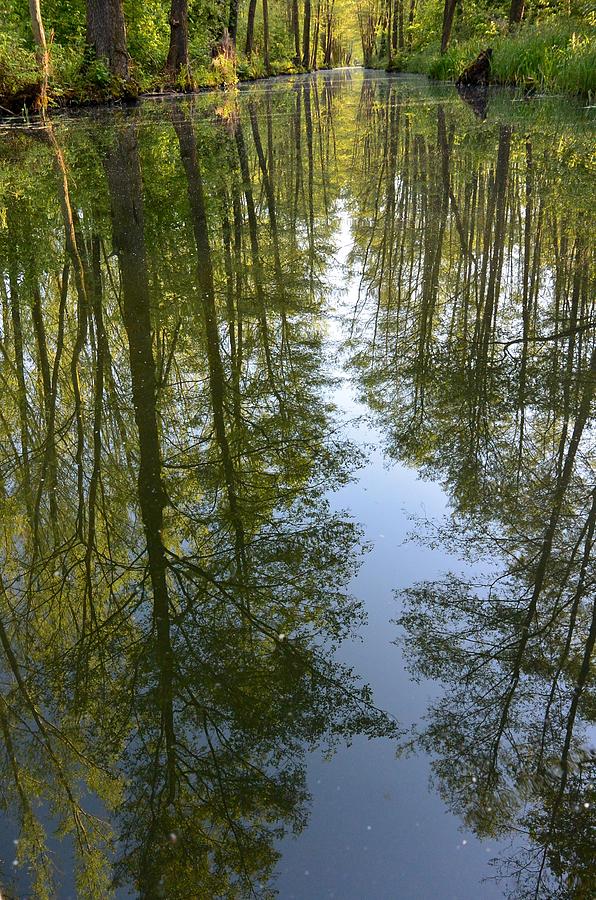 Canals Photograph - Canals of the Spreewald Biosphere by Two Small Potatoes Canals Photograph - Canals of the Spreewald Biosphere by Two Small Potatoes