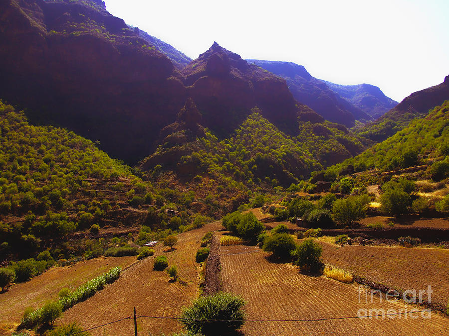 Canarian Agriculture Digital Art by Andrew Middleton