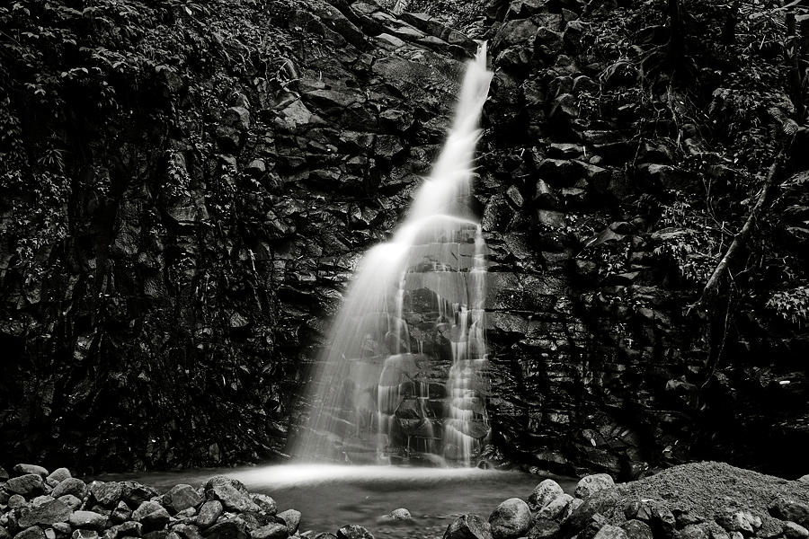 Canaries Waterfall -2- St Lucia Photograph by Chester Williams