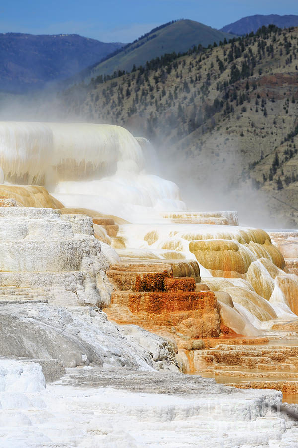 Canary Spring, Mammoth Hot Springs, Upper Terraces, Yellowstone  Photograph by Louise Heusinkveld