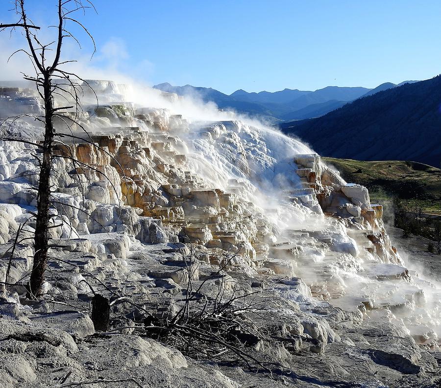 Yellowstone National Park Photograph - Canary Spring, Yellowstone by Nicole Belvill