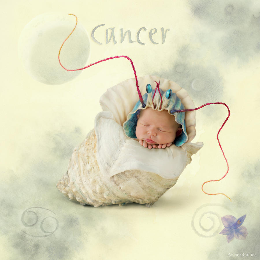 Cancer Photograph by Anne Geddes