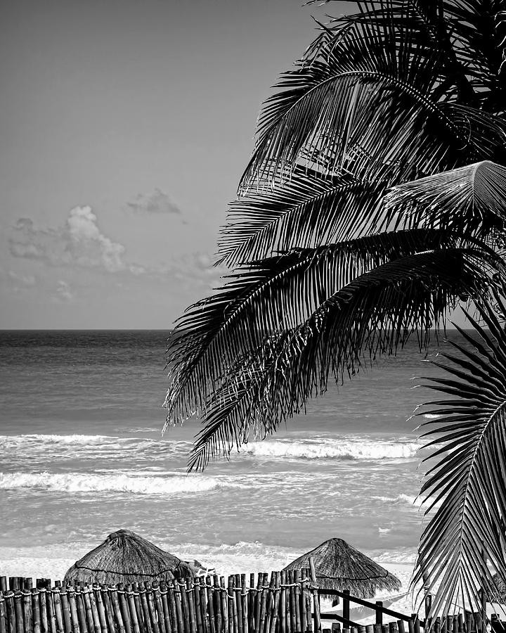 Cancun Beach In Black And White - photography Photograph by Ann Powell