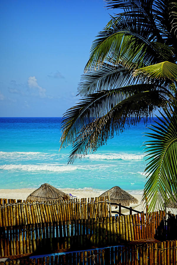 Cancun Beach - photography Photograph by Ann Powell