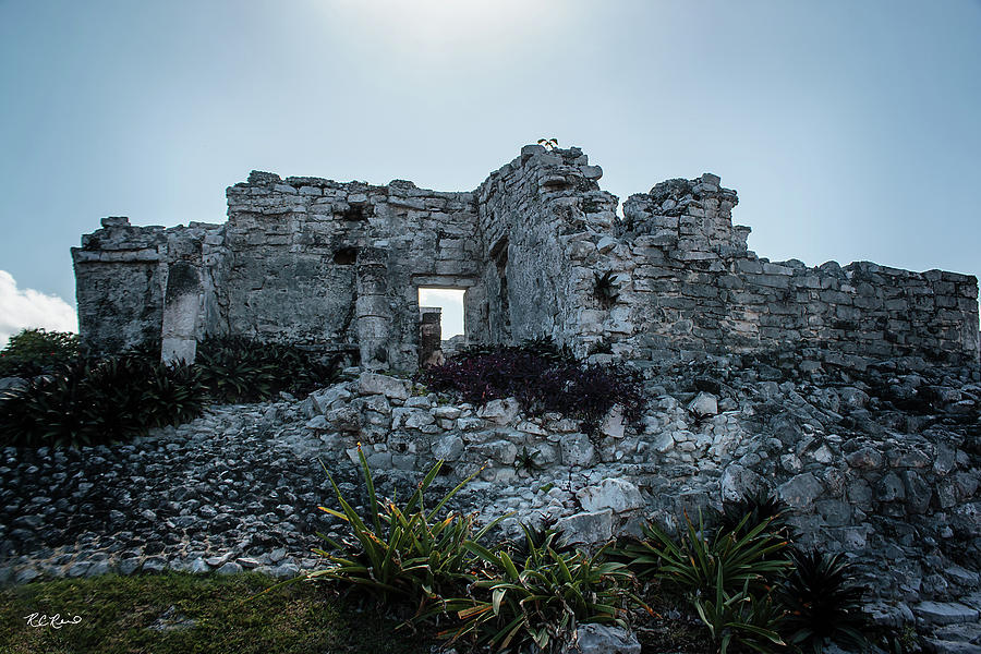Cancun Mexico - Tulum Ruins - Palace Photograph by Ronald Reid