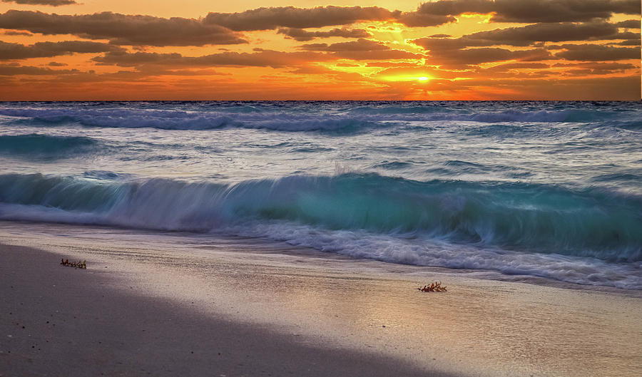 Cancun sunrise Photograph by Jonathan Ross - Fine Art America