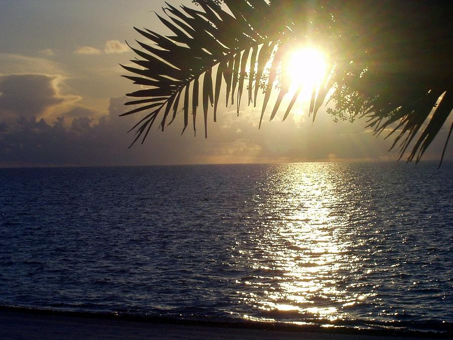 Cancun Sunset Photograph by Robert Knight