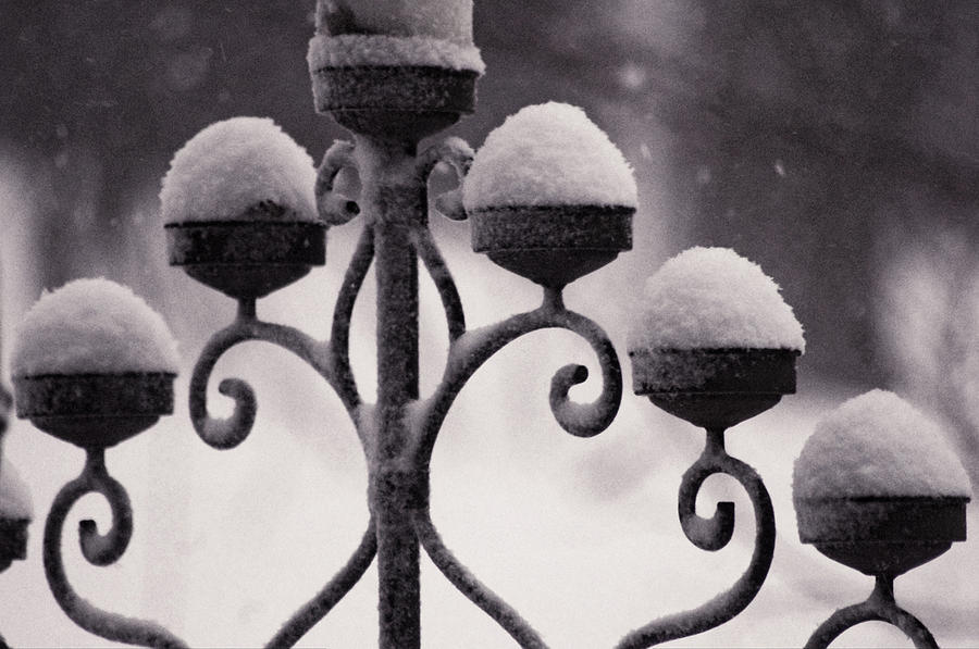 Candelabra in the Snow Photograph by Susan Maxwell Schmidt