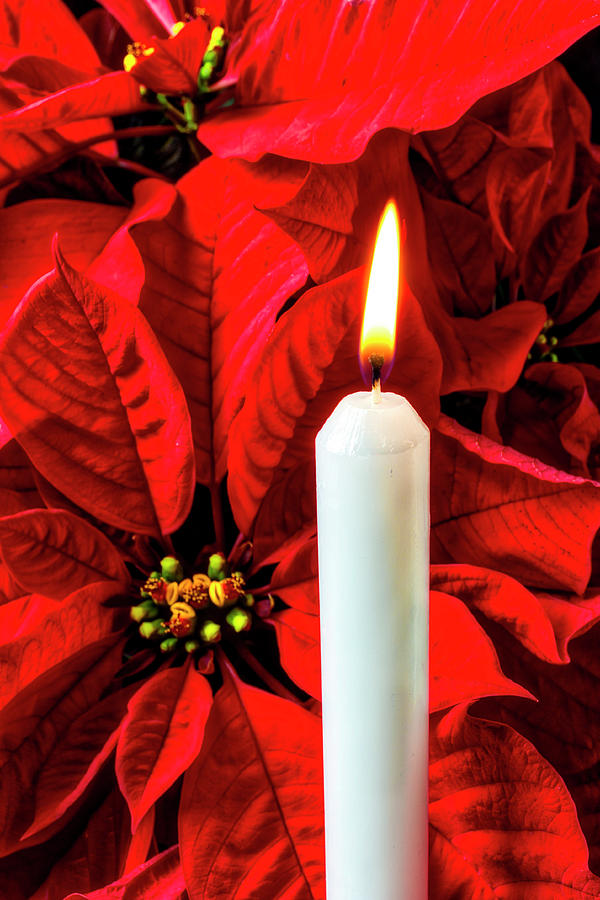 Candle And Poinsettia Photograph by Garry Gay