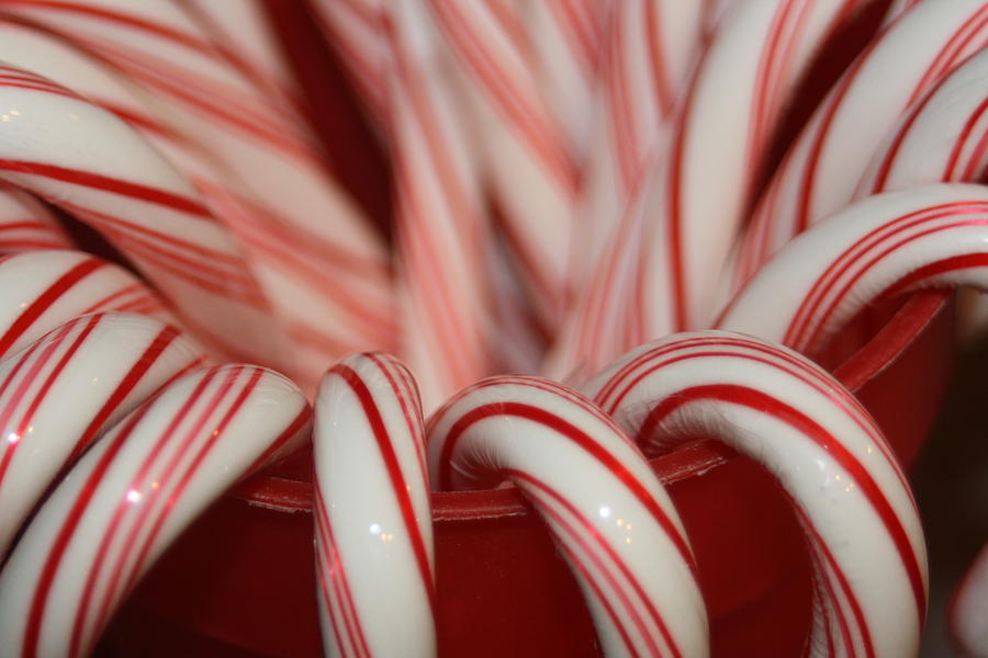 Candy Cane 2 Photograph by April Cook