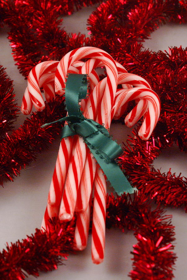 Candy Cane Bouquet Greeting Card by Sonja Anderson