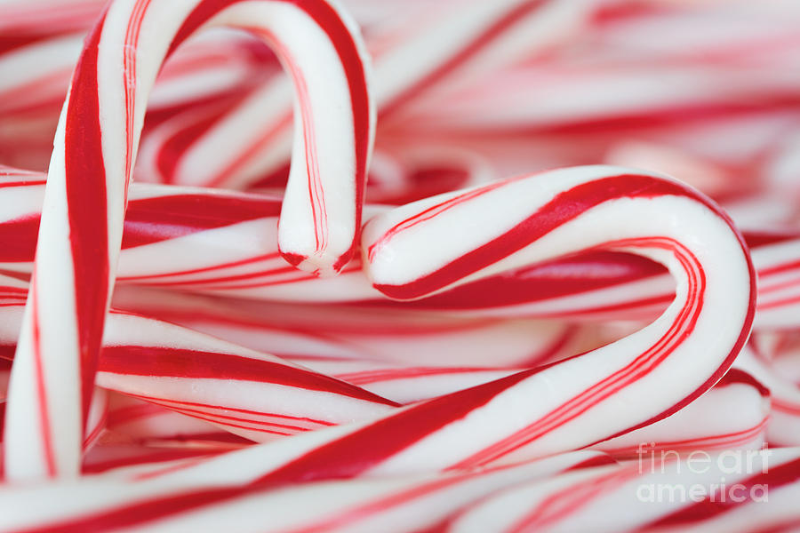 Candy Photograph - Candy Cane Love by Kim Fearheiley