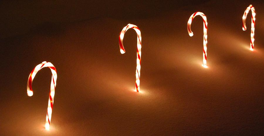 Candy Canes Photograph by Eric Liller
