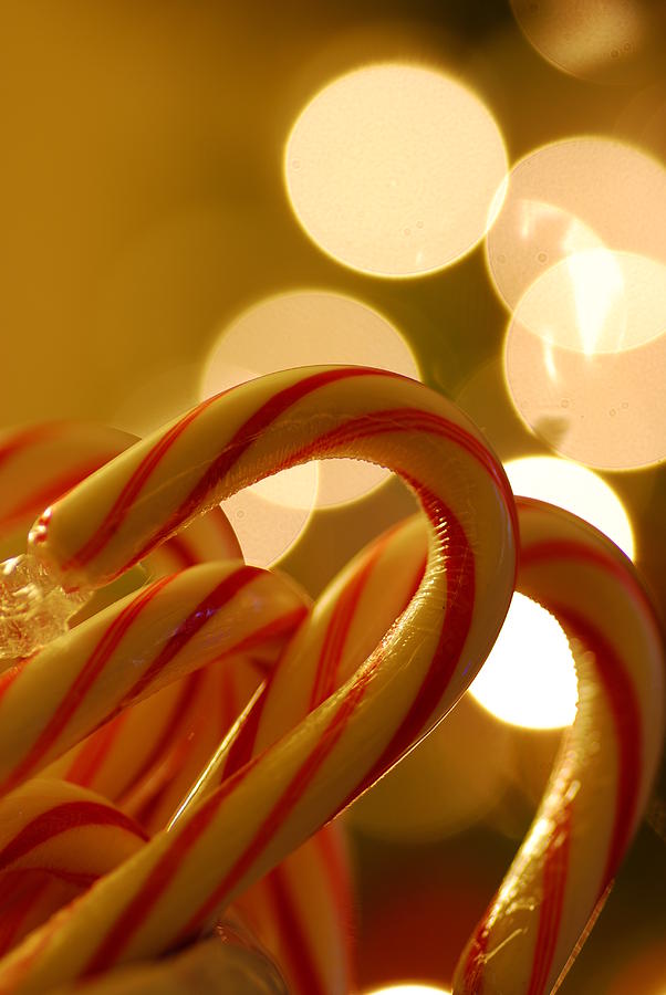 Candy Canes Photograph by Kelly Wade