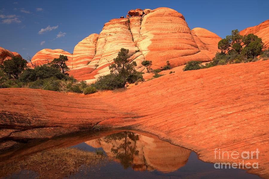 Candy Cliffs Reflections In The Rainwater Photograph by Adam Jewell