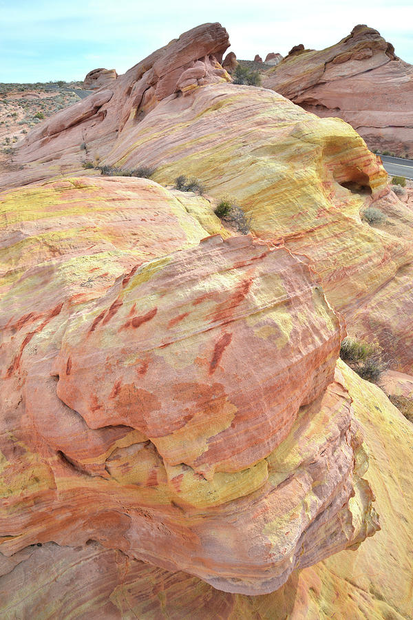 Candy Colored Sandstone in Valley of Fire Photograph by Ray Mathis