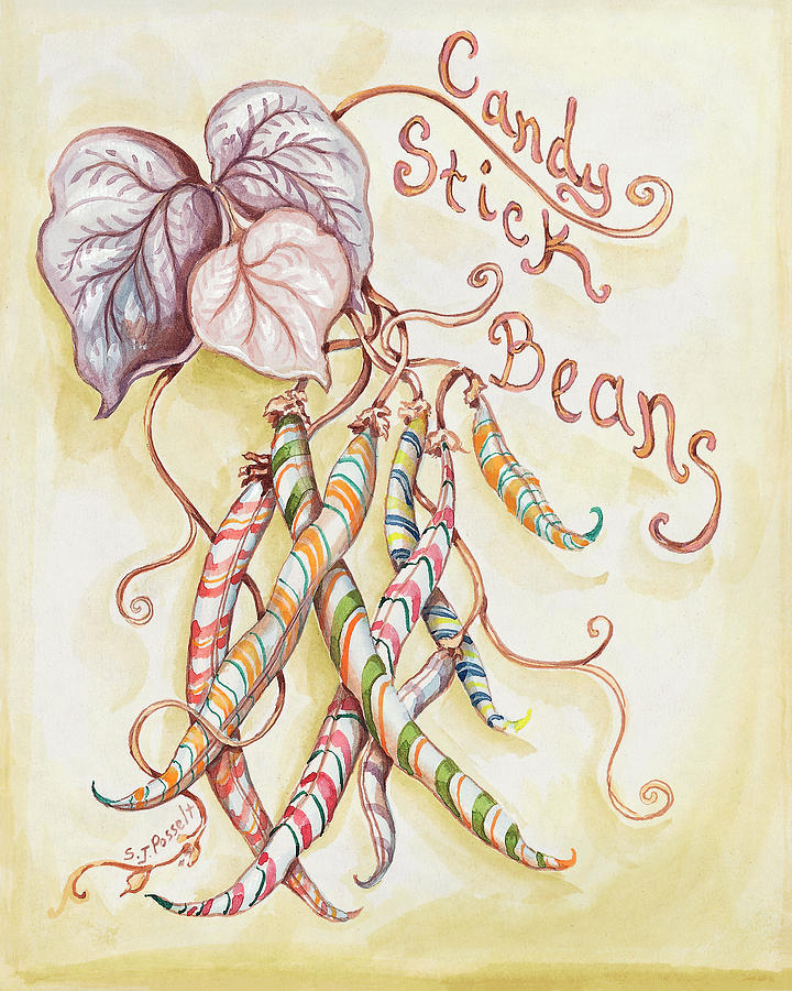 Candy Stick Beans Painting by Sheri Jo Posselt