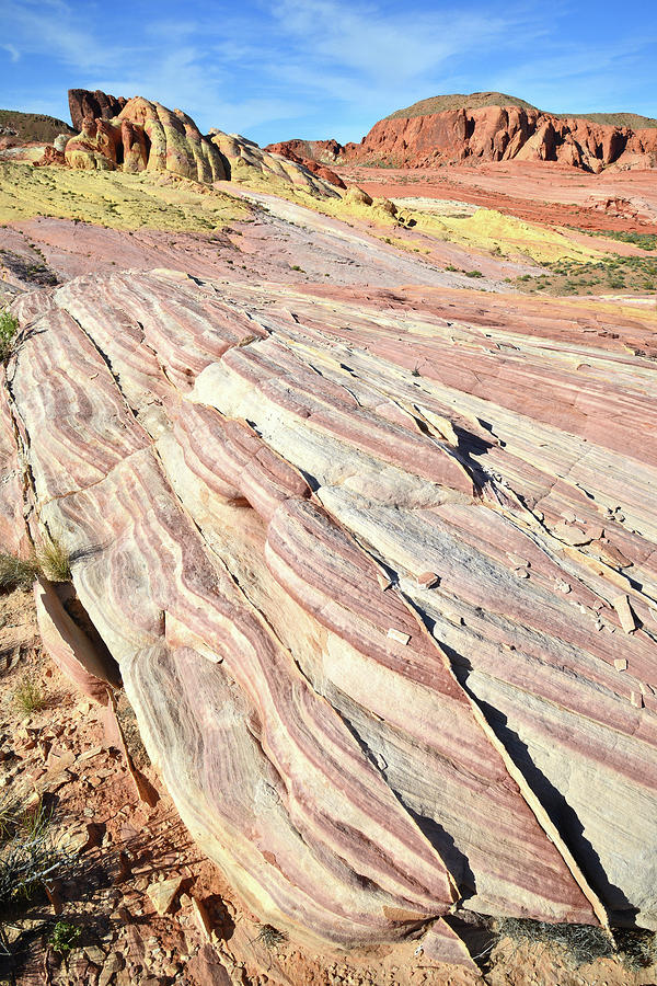 Candy Striped Sandstone in Valley of Fire Photograph by Ray Mathis