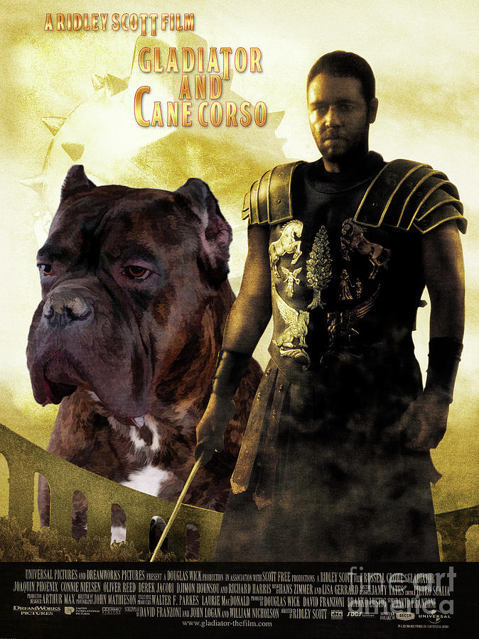 Cane Corso Art Canvas Print - Gladiator Movie Poster Painting by Sandra Sij