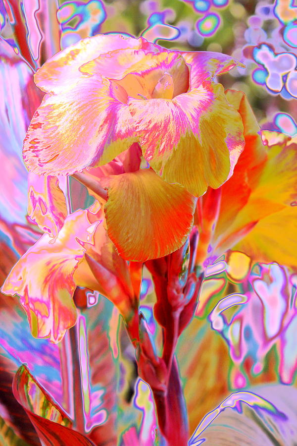 Canna Abstract 3 Photograph by M Diane Bonaparte