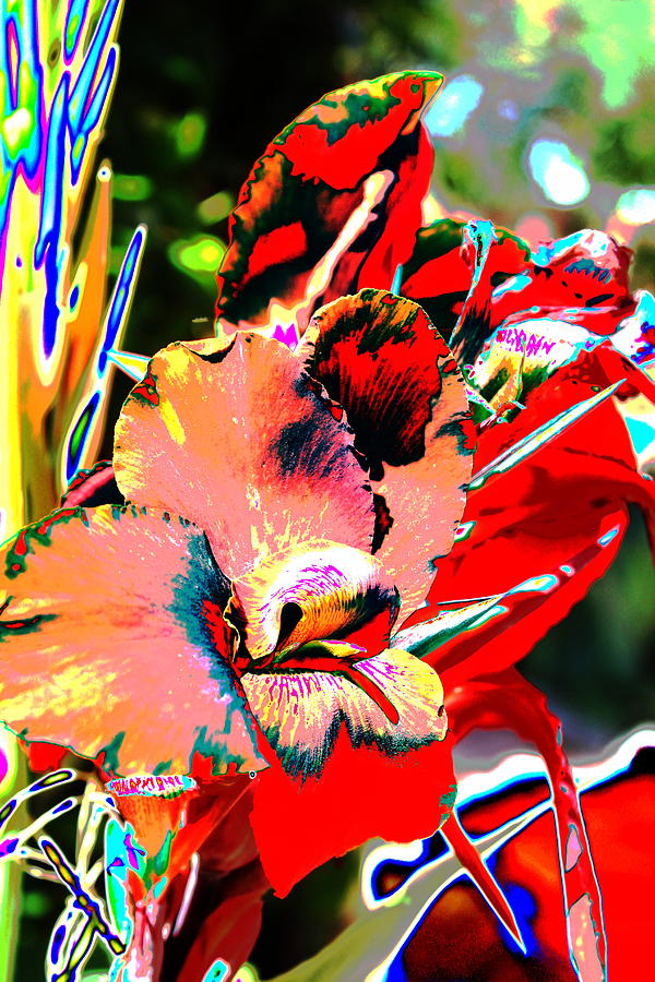 Canna Abstract 7 Photograph by M Diane Bonaparte