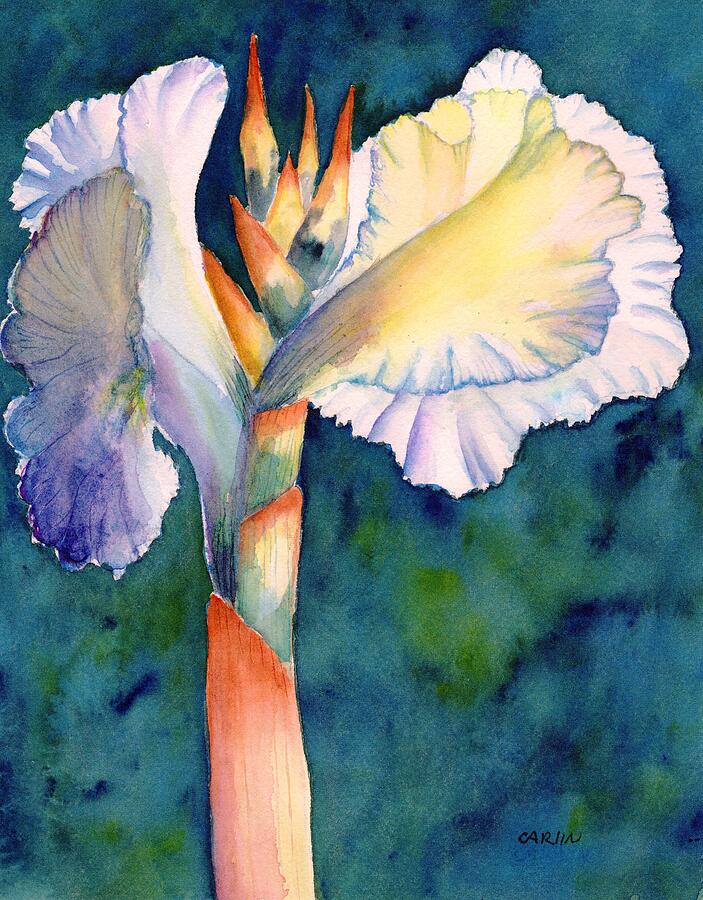 Nature Painting - Canna Flower Watercolor by Carlin Blahnik CarlinArtWatercolor