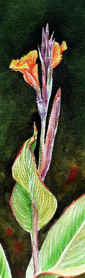 Flowers Still Life Painting - Canna by Irina Sztukowski