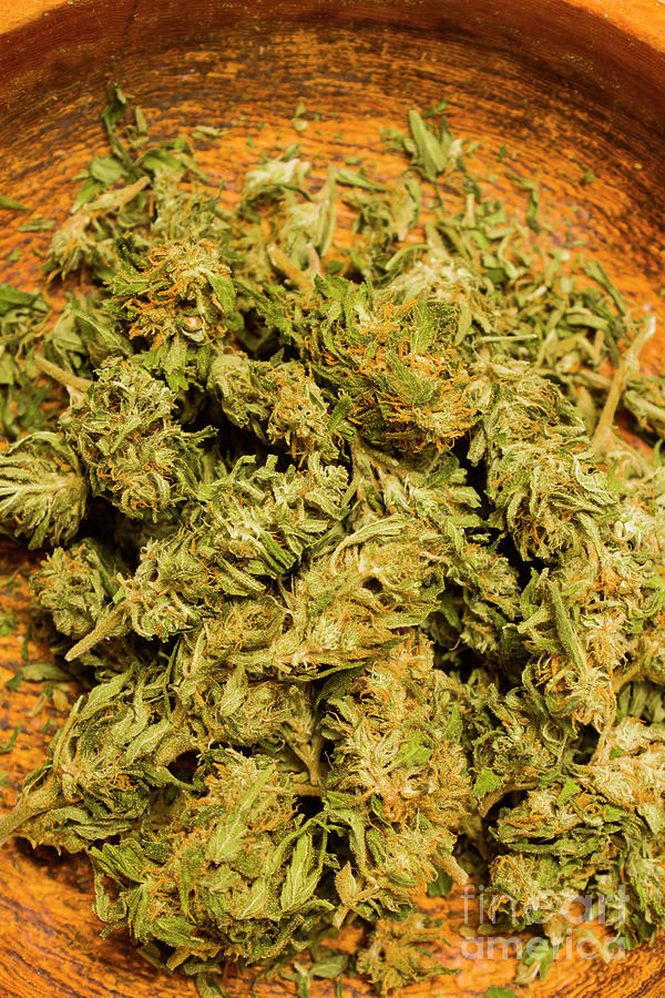 Cannabis bowl Photograph by Jorgo Photography